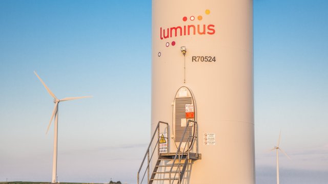 Luminus case view