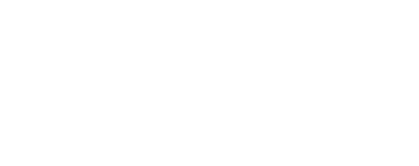 Toreon - Business driven cyber consulting