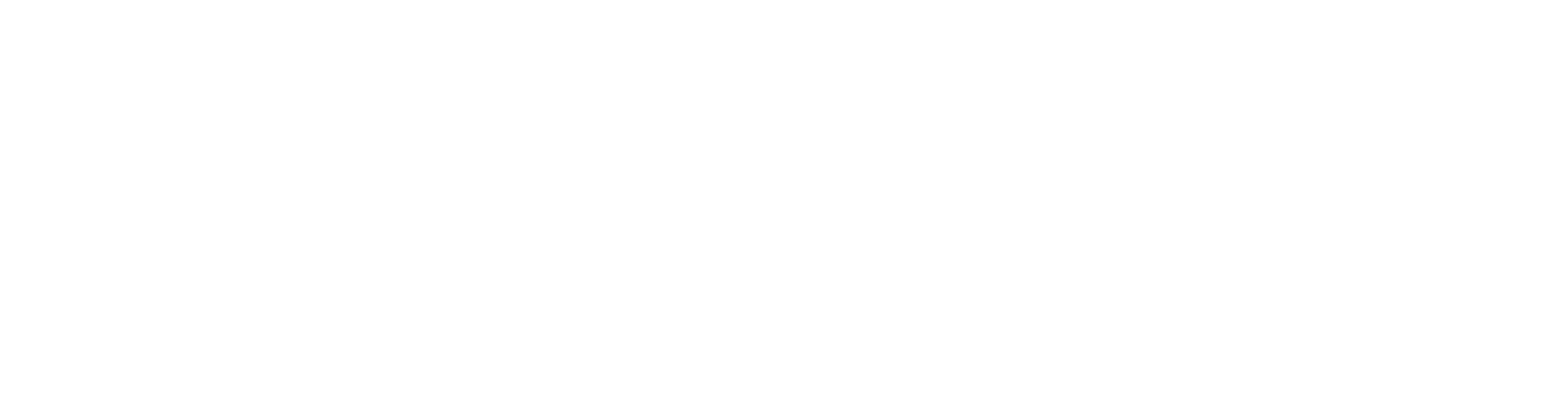 DPI Logo White