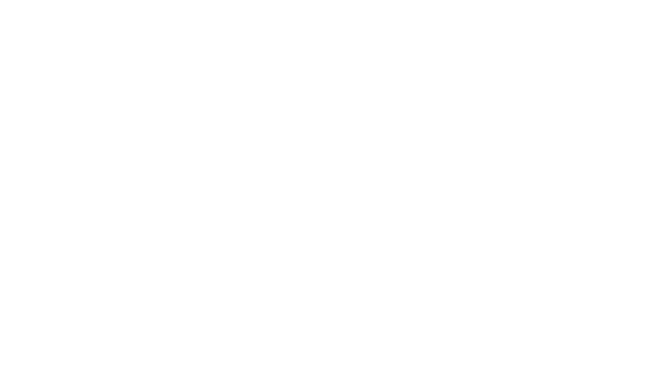 TOR LOGO WHITE